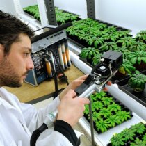 recherche agronomique à Poitiers - chercheurs - photo scientifique - laboratoire - Alain Montaufier Photographe professionnel